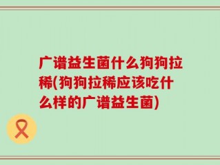 广谱益生菌什么狗狗拉稀(狗狗拉稀应该吃什么样的广谱益生菌)