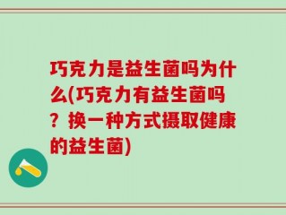 巧克力是益生菌吗为什么(巧克力有益生菌吗？换一种方式摄取健康的益生菌)