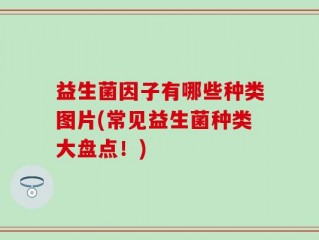 益生菌因子有哪些种类图片(常见益生菌种类大盘点！)