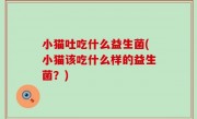 小猫吐吃什么益生菌(小猫该吃什么样的益生菌？)
