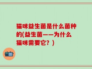 猫咪益生菌是什么菌种的(益生菌——为什么猫咪需要它？)