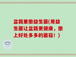 盆栽里撒益生菌(用益生菌让盆栽更健康，撒上好处多多的菌菇！)