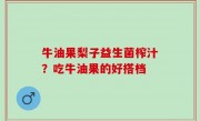 牛油果梨子益生菌榨汁？吃牛油果的好搭档