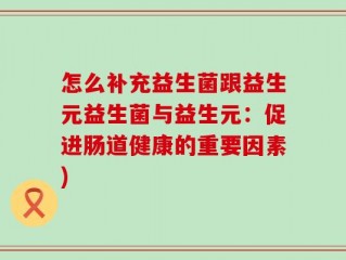 怎么补充益生菌跟益生元益生菌与益生元：促进肠道健康的重要因素)