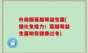 升级版蔓越莓益生菌(强化免疫力！蔓越莓益生菌助你健康过冬)