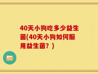 40天小狗吃多少益生菌(40天小狗如何服用益生菌？)