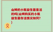 山姆的小瓶益生菌是活的吗(山姆购买的小瓶益生菌存活情况如何？)