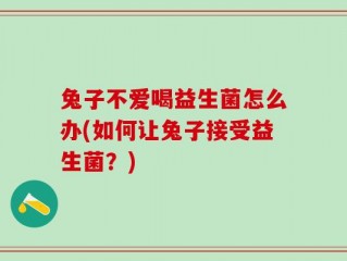 兔子不爱喝益生菌怎么办(如何让兔子接受益生菌？)