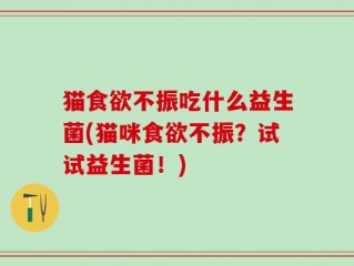 猫食欲不振吃什么益生菌(猫咪食欲不振？试试益生菌！)