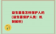 益生菌是怎样保护人的(益生菌保护人类：机制解析)
