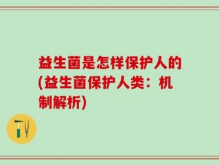 益生菌是怎样保护人的(益生菌保护人类：机制解析)