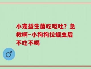 小宠益生菌吃呕吐？急救啊~小狗狗拉蛔虫后不吃不喝