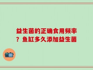 益生菌的正确食用频率？鱼缸多久添加益生菌