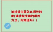 油状益生菌怎么喂养的呢(油状益生菌的喂养方法，你知道吗？)