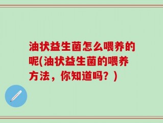 油状益生菌怎么喂养的呢(油状益生菌的喂养方法，你知道吗？)