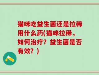 猫咪吃益生菌还是拉稀用什么药(猫咪拉稀，如何治疗？益生菌是否有效？)