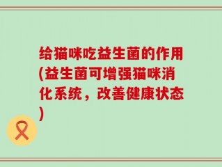 给猫咪吃益生菌的作用(益生菌可增强猫咪消化系统，改善健康状态)