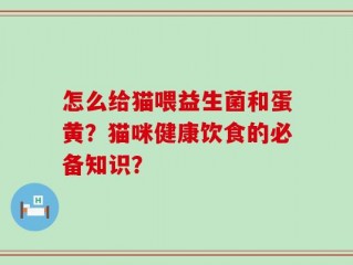 怎么给猫喂益生菌和蛋黄？猫咪健康饮食的必备知识？