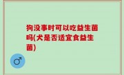 狗没事时可以吃益生菌吗(犬是否适宜食益生菌)