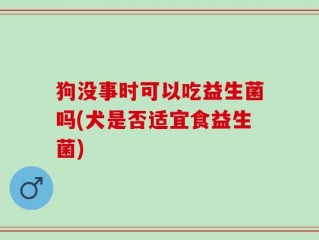 狗没事时可以吃益生菌吗(犬是否适宜食益生菌)
