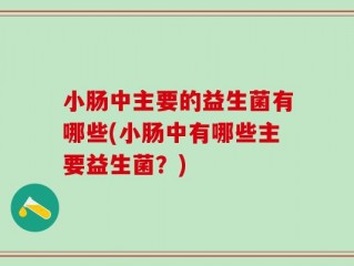 小肠中主要的益生菌有哪些(小肠中有哪些主要益生菌？)