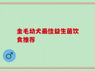 金毛幼犬最佳益生菌饮食推荐