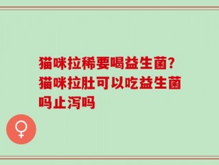 猫咪拉稀要喝益生菌？猫咪拉肚可以吃益生菌吗止泻吗