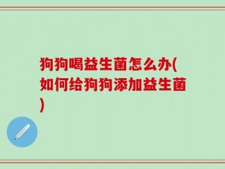 狗狗喝益生菌怎么办(如何给狗狗添加益生菌)