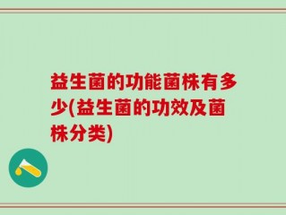 益生菌的功能菌株有多少(益生菌的功效及菌株分类)