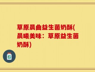 草原晨曲益生菌奶酥(晨曦美味：草原益生菌奶酥)