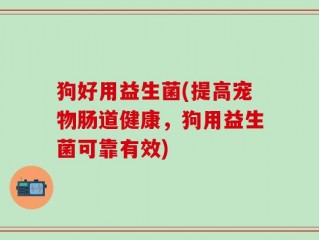 狗好用益生菌(提高宠物肠道健康，狗用益生菌可靠有效)