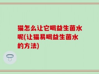 猫怎么让它喝益生菌水呢(让猫易喝益生菌水的方法)