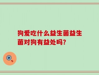 狗爱吃什么益生菌益生菌对狗有益处吗？