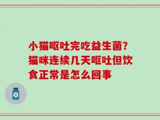 小猫呕吐完吃益生菌？猫咪连续几天呕吐但饮食正常是怎么回事