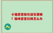 小猫感冒能吃益生菌嘛？猫咪感冒拉稀怎么办