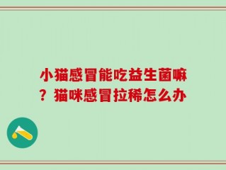 小猫感冒能吃益生菌嘛？猫咪感冒拉稀怎么办