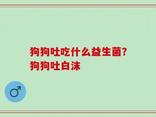 狗狗吐吃什么益生菌？狗狗吐白沫