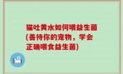 猫吐黄水如何喂益生菌(善待你的宠物，学会正确喂食益生菌)
