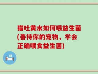 猫吐黄水如何喂益生菌(善待你的宠物，学会正确喂食益生菌)