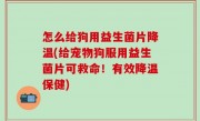 怎么给狗用益生菌片降温(给宠物狗服用益生菌片可救命！有效降温保健)