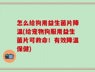 怎么给狗用益生菌片降温(给宠物狗服用益生菌片可救命！有效降温保健)