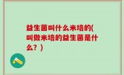 益生菌叫什么米培的(叫做米培的益生菌是什么？)