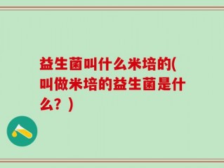 益生菌叫什么米培的(叫做米培的益生菌是什么？)