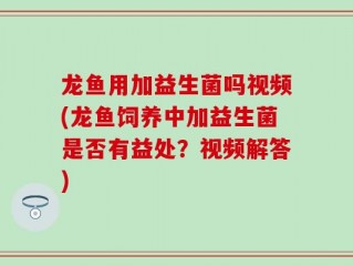 龙鱼用加益生菌吗视频(龙鱼饲养中加益生菌是否有益处？视频解答)