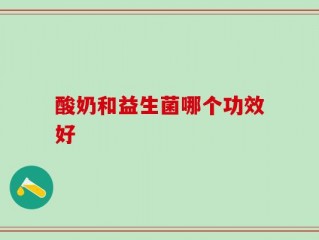 酸奶和益生菌哪个功效好