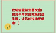 牧场能量益生菌文案(提高牛羊育肥效果的益生菌，让你的牧场更健康！)