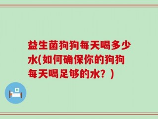 益生菌狗狗每天喝多少水(如何确保你的狗狗每天喝足够的水？)