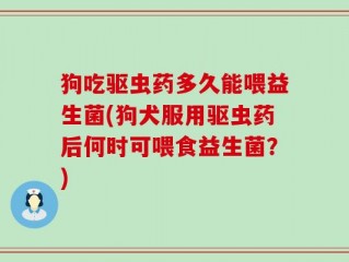狗吃驱虫药多久能喂益生菌(狗犬服用驱虫药后何时可喂食益生菌？)