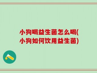 小狗喝益生菌怎么喝(小狗如何饮用益生菌)