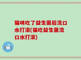 猫咪吃了益生菌后流口水打滚(猫吃益生菌流口水打滚)